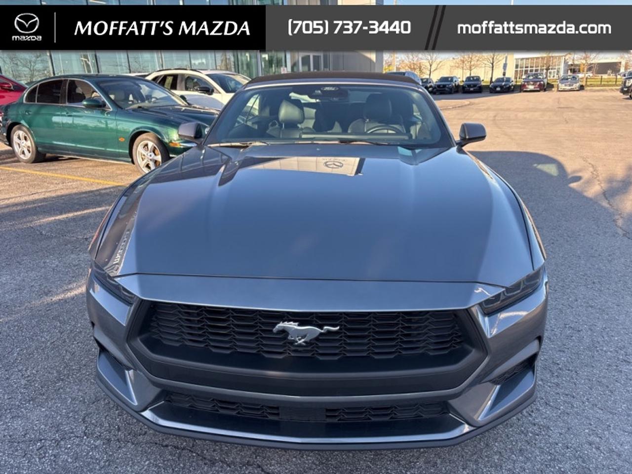 2025 Ford Mustang EcoBoost Photo