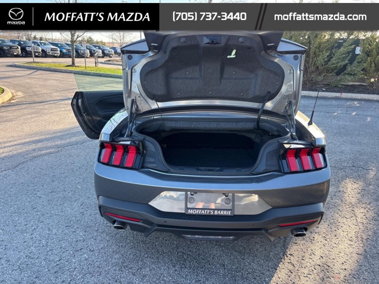 2025 Ford Mustang EcoBoost Photo