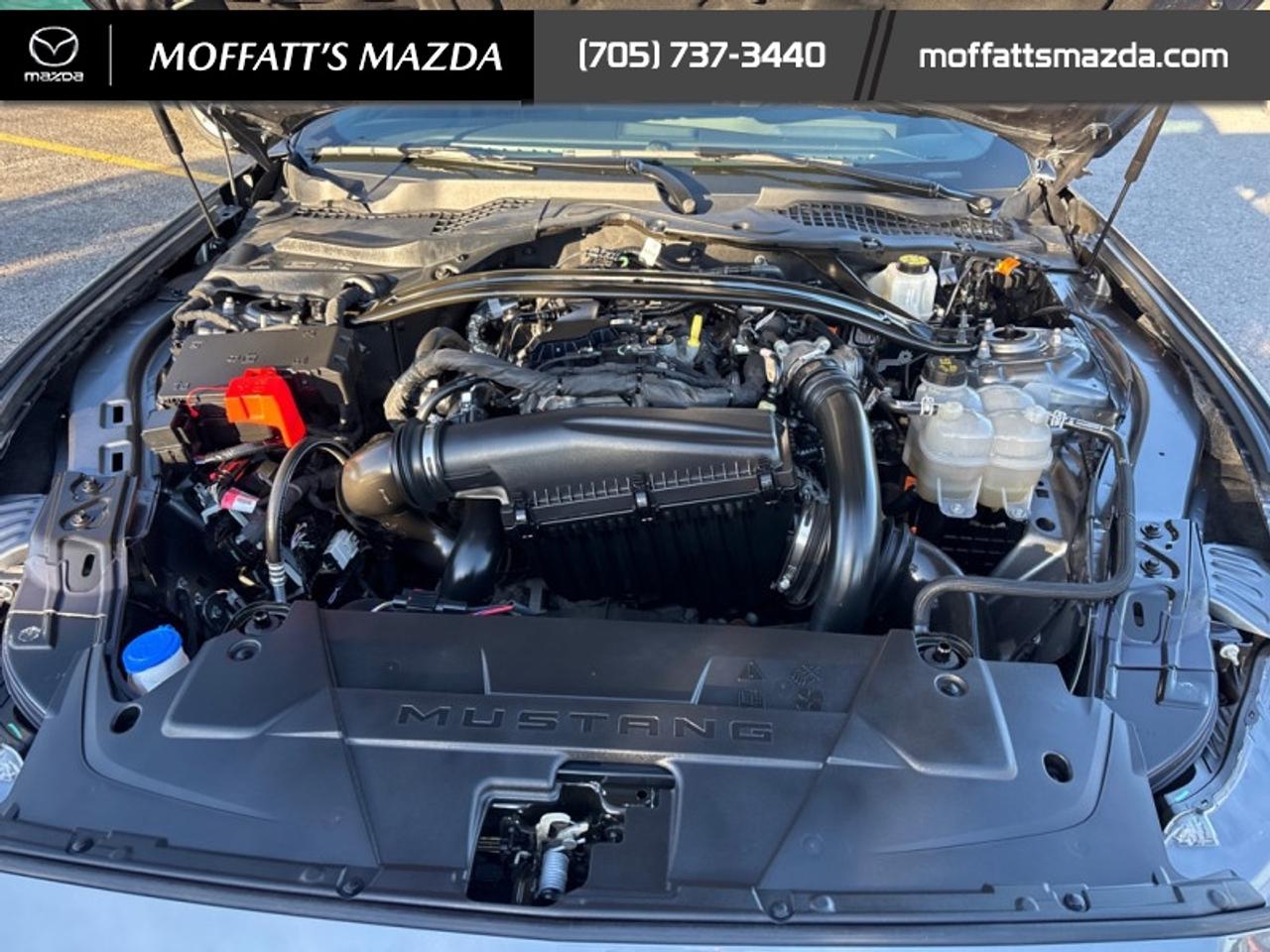 2025 Ford Mustang EcoBoost Photo