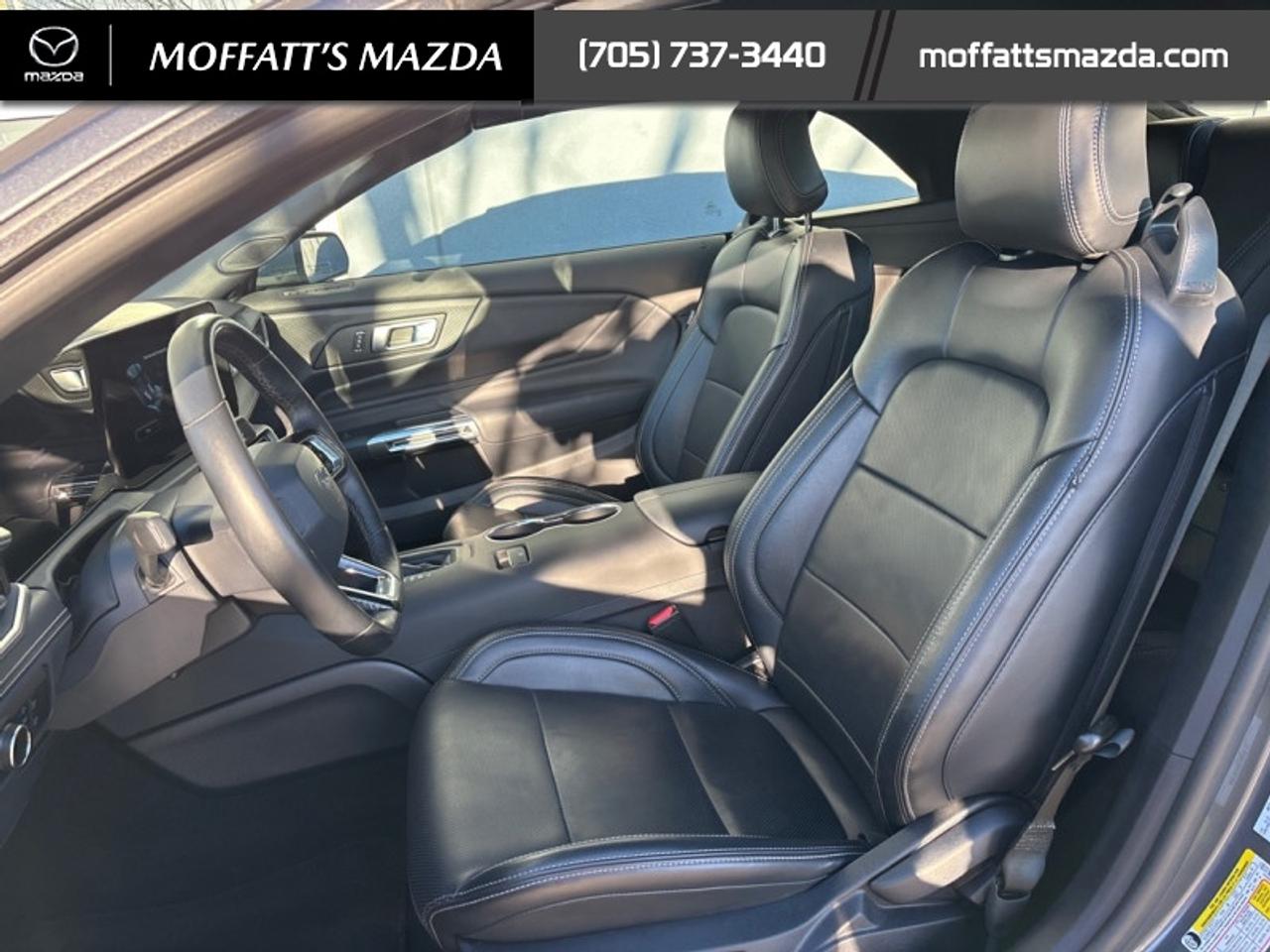 2025 Ford Mustang EcoBoost Photo