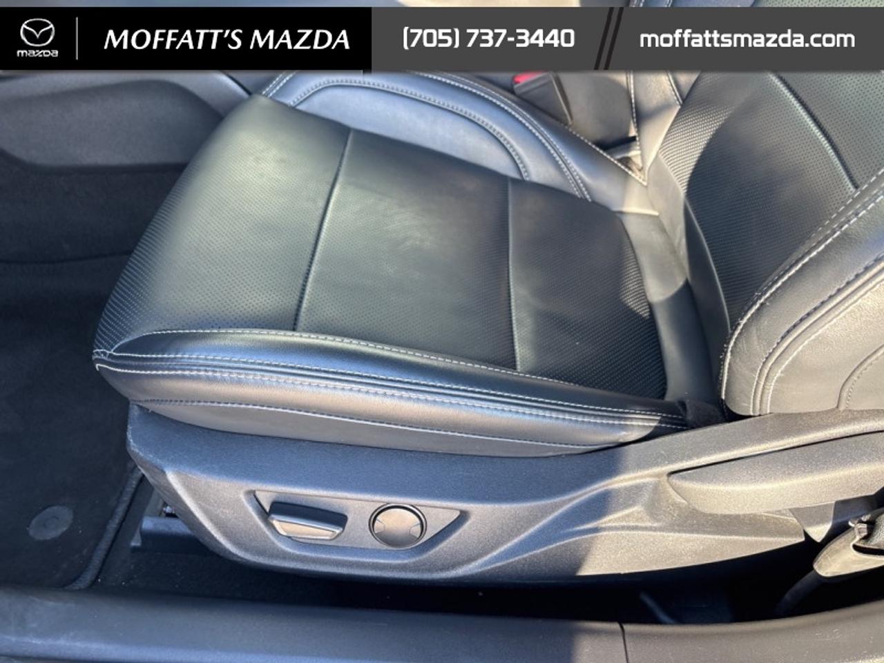2025 Ford Mustang EcoBoost Photo