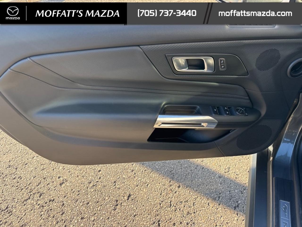 2025 Ford Mustang EcoBoost Photo