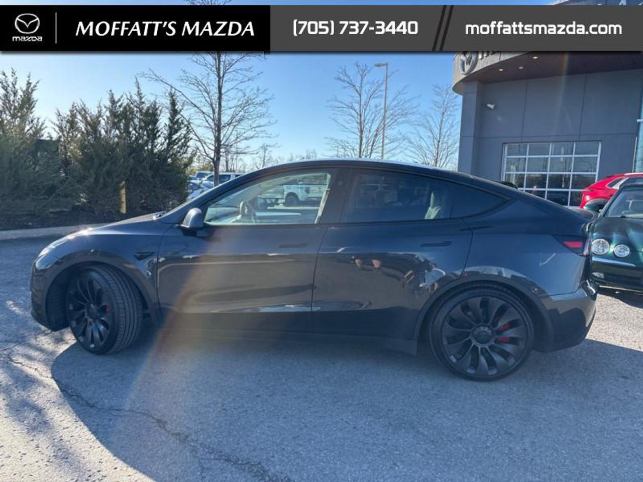 2024 Tesla Model Y PERFORMANCE Photo