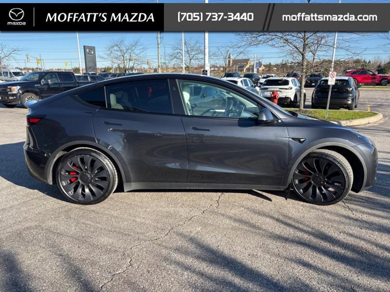 2024 Tesla Model Y PERFORMANCE Photo