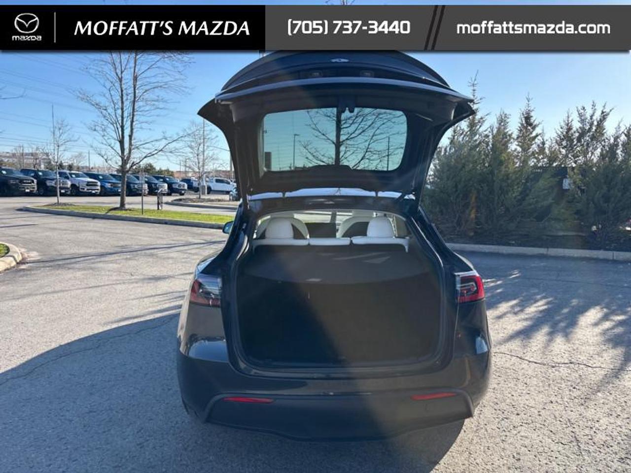 2024 Tesla Model Y PERFORMANCE Photo
