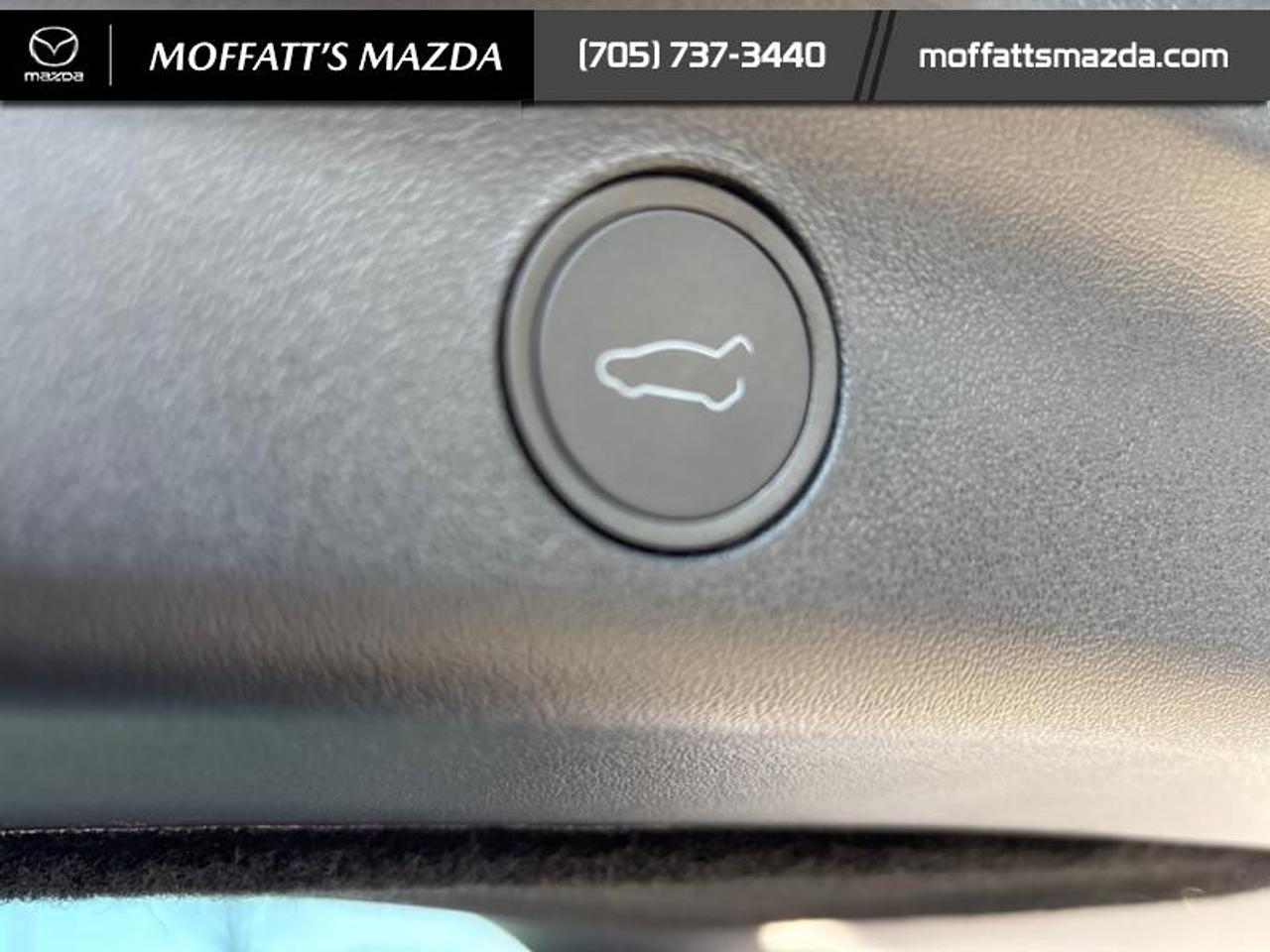 2024 Tesla Model Y PERFORMANCE Photo