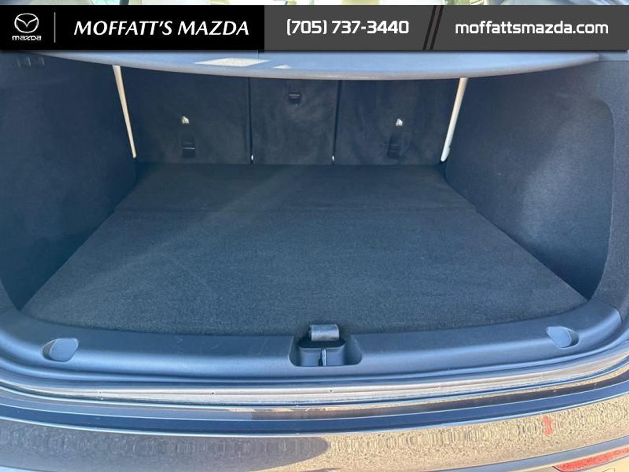 2024 Tesla Model Y PERFORMANCE Photo