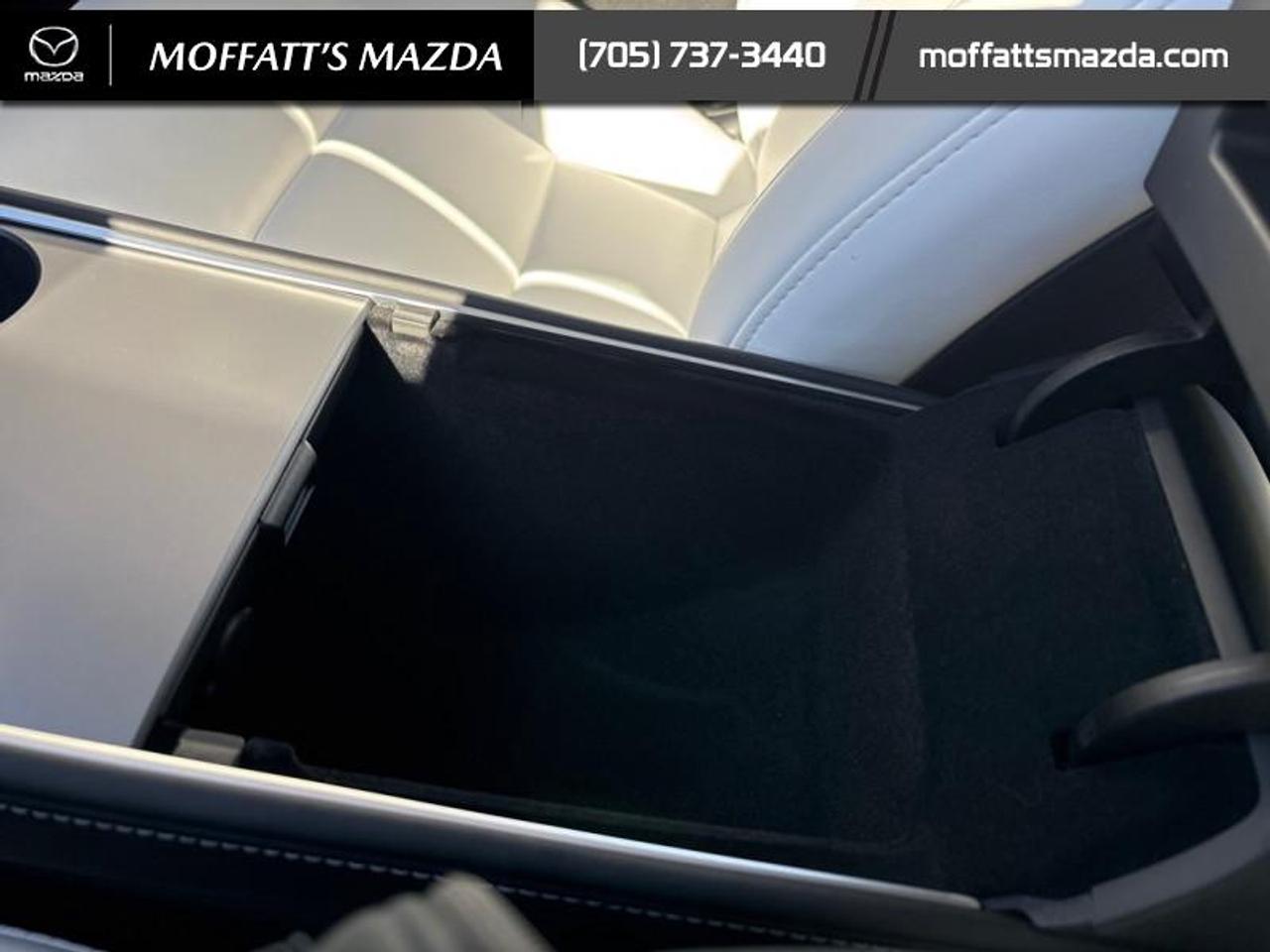 2024 Tesla Model Y PERFORMANCE Photo