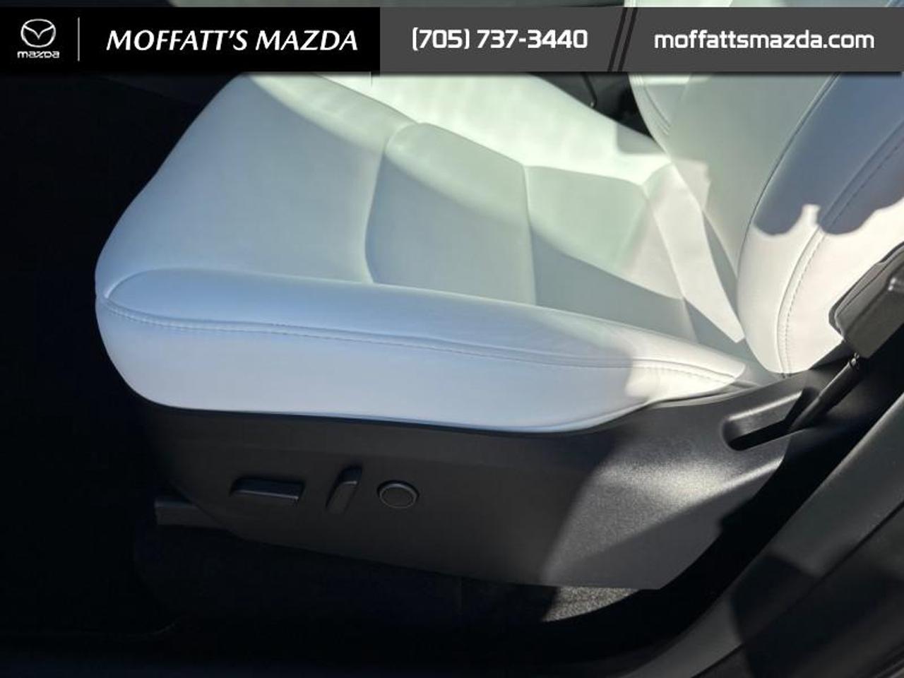 2024 Tesla Model Y PERFORMANCE Photo