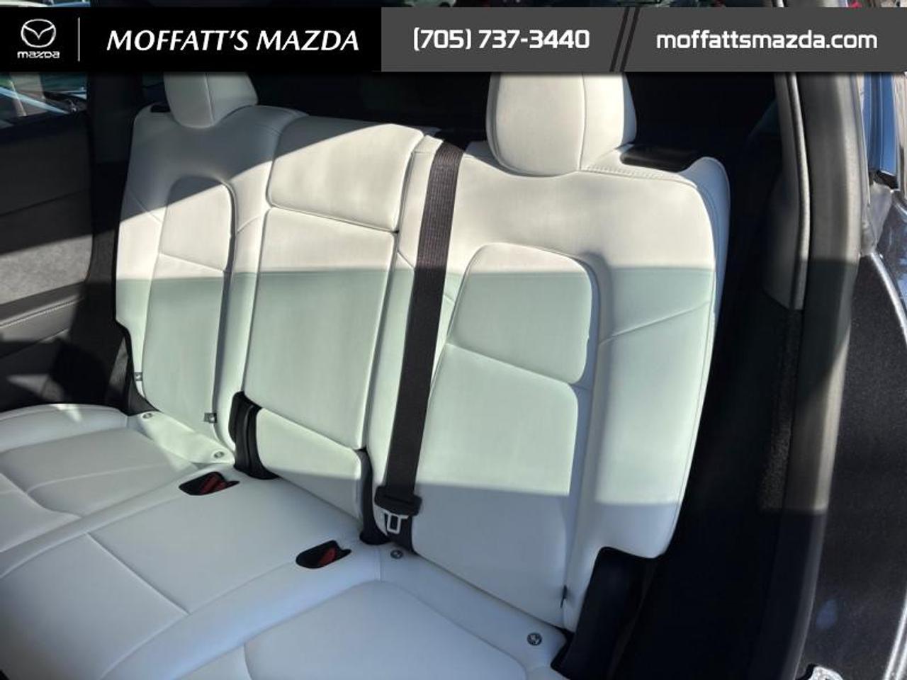 2024 Tesla Model Y PERFORMANCE Photo