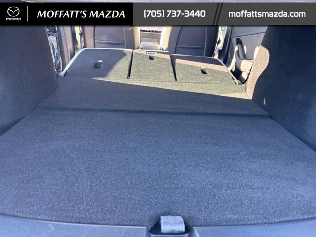 2024 Tesla Model Y PERFORMANCE Photo