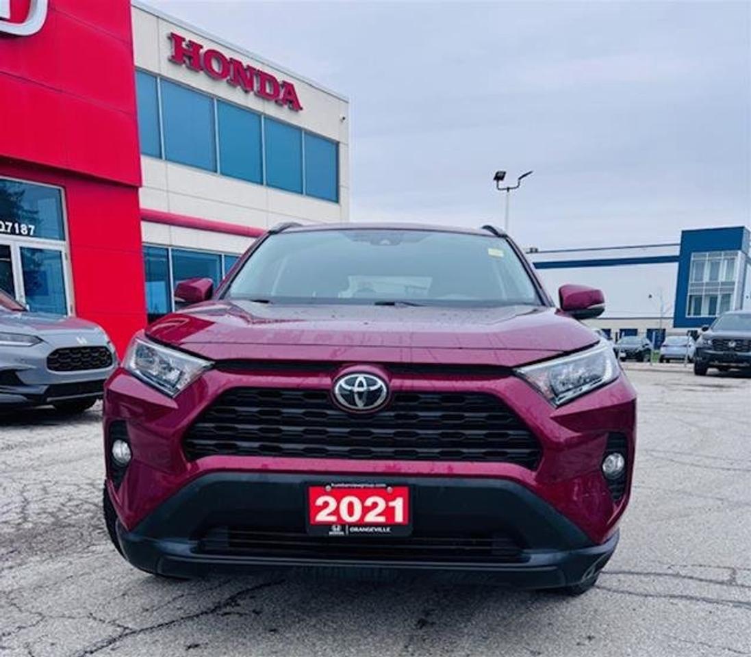 2021 Toyota RAV4 XLE AWD Photo