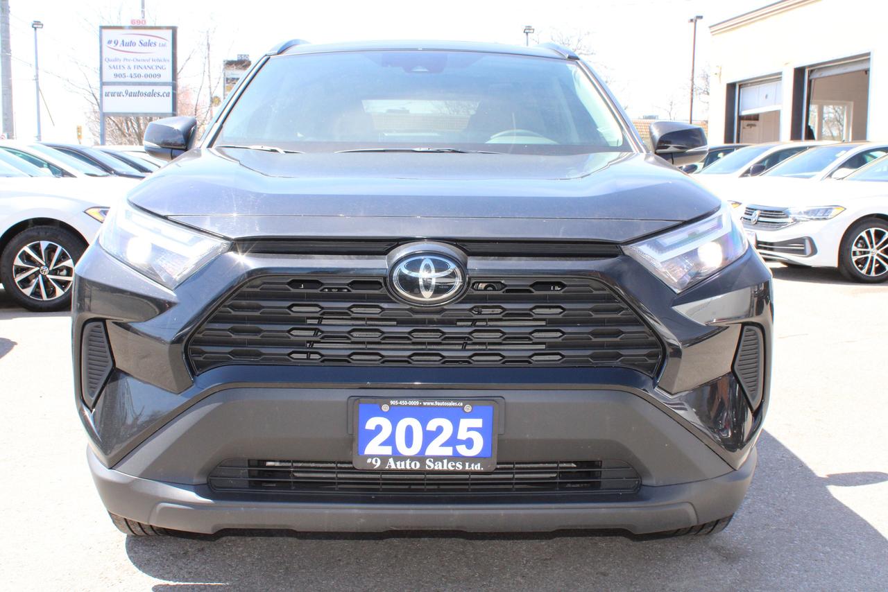 2025 Toyota RAV4 XLE Photo
