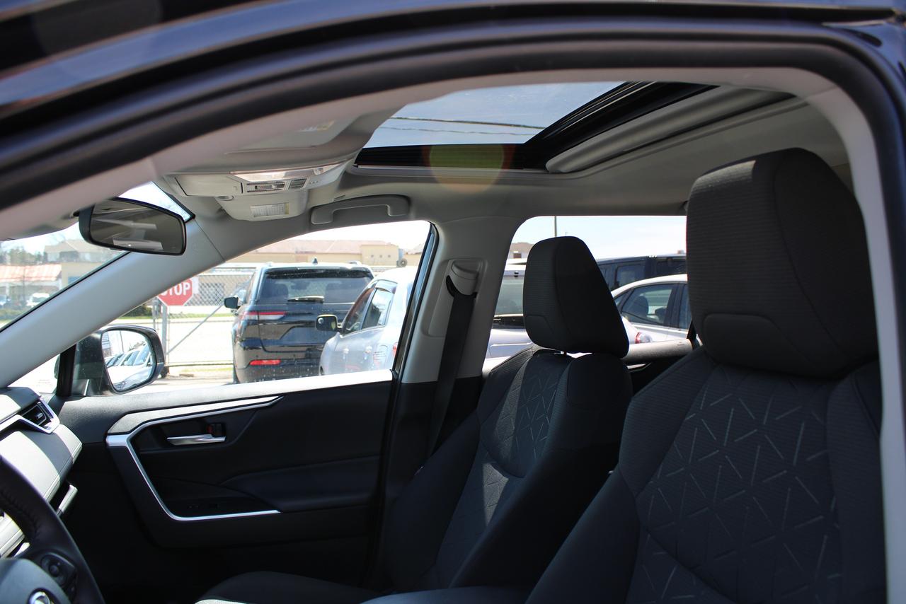 2025 Toyota RAV4 XLE Photo