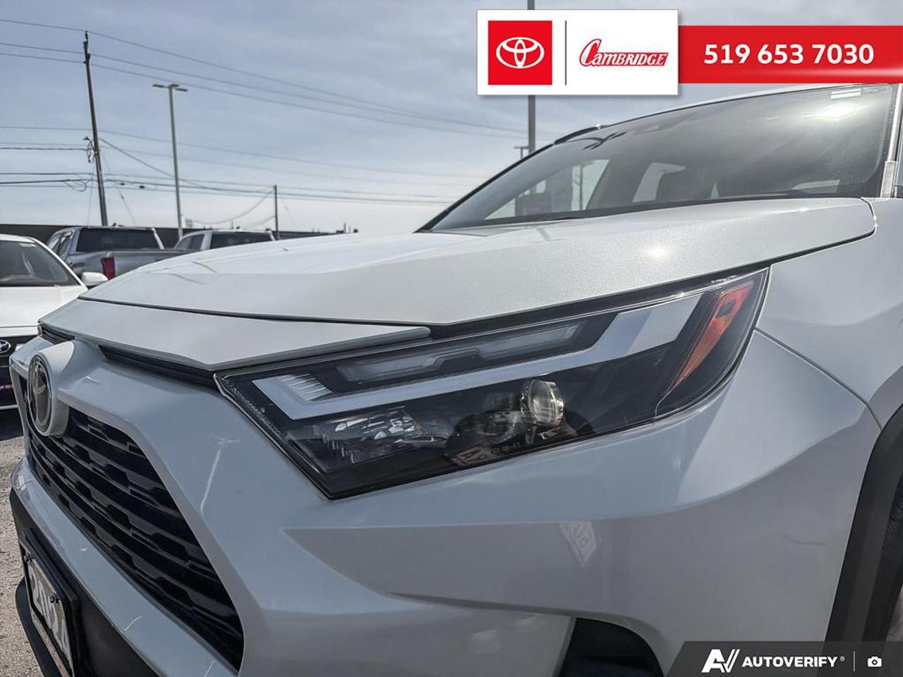 2024 Toyota RAV4 XLE Photo