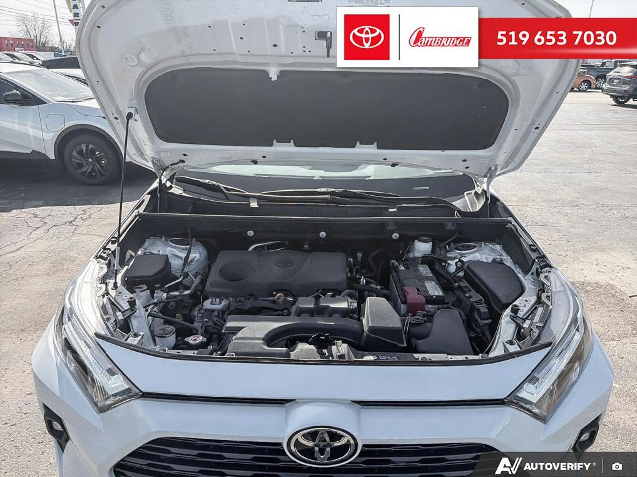 2024 Toyota RAV4 XLE Photo