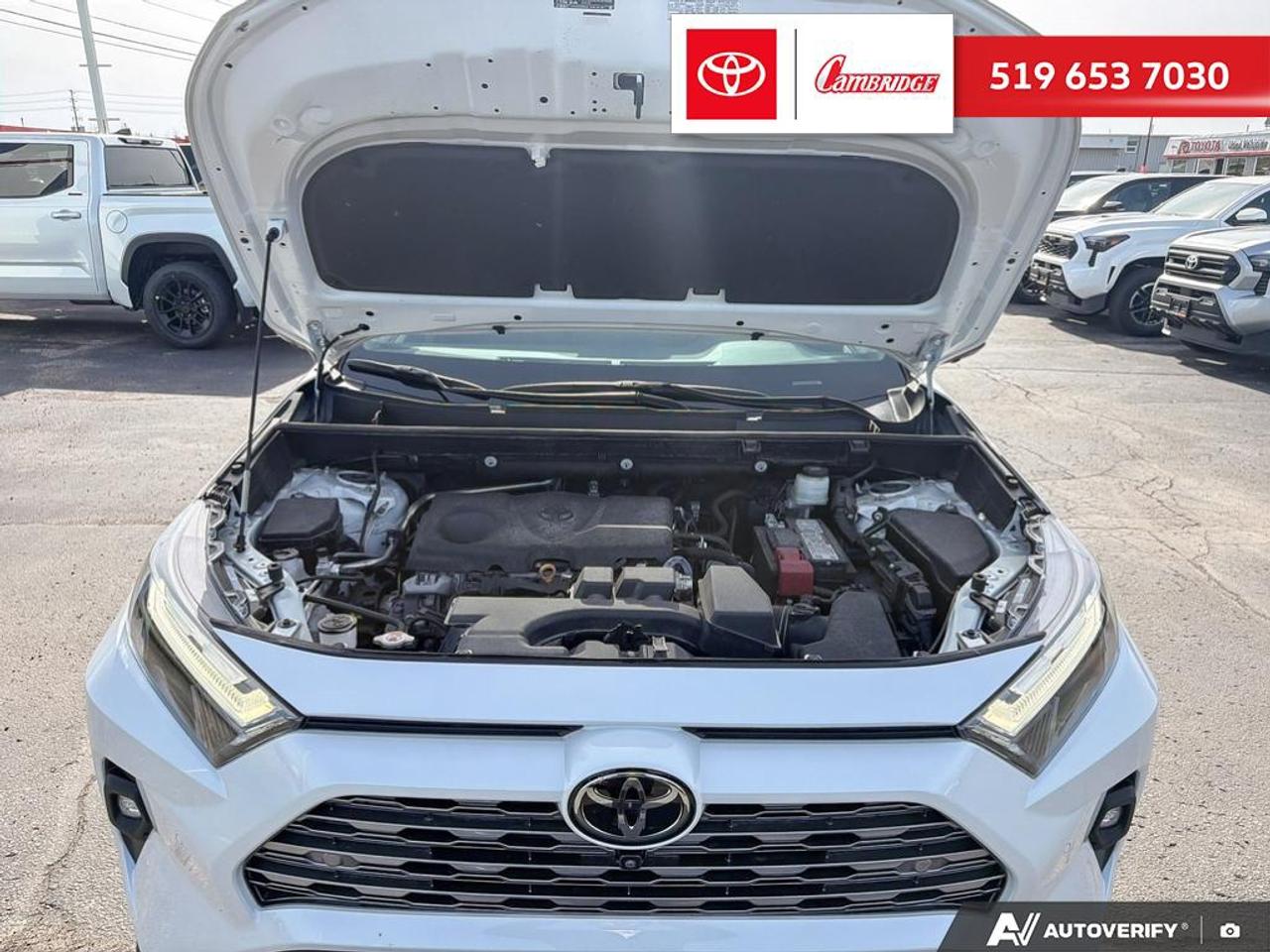 2023 Toyota RAV4 LIMITED  Photo