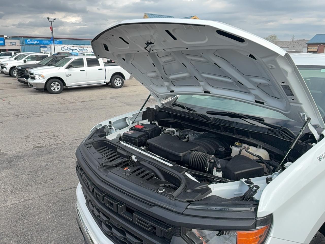2023 Chevrolet Silverado 1500 WT RegCab 2WD 5.3L8cylGas 8ftBox BackUpCam Photo