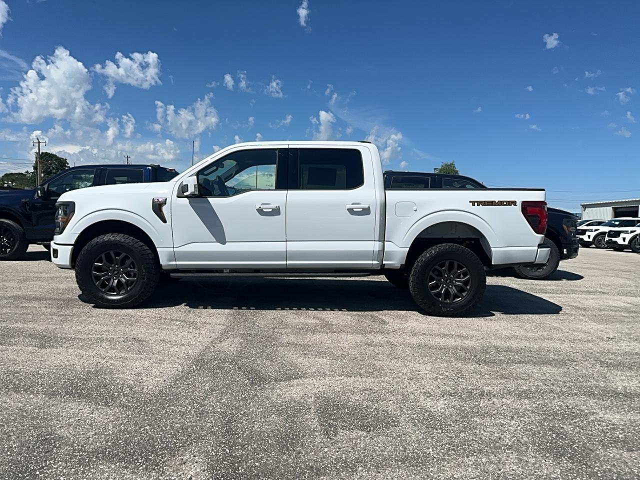 2026 Ford F-150 Tremor SuperCrew 402B 4x4 Photo2