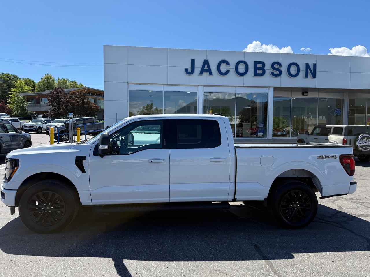 2024 Ford F-150 XLT Photo1