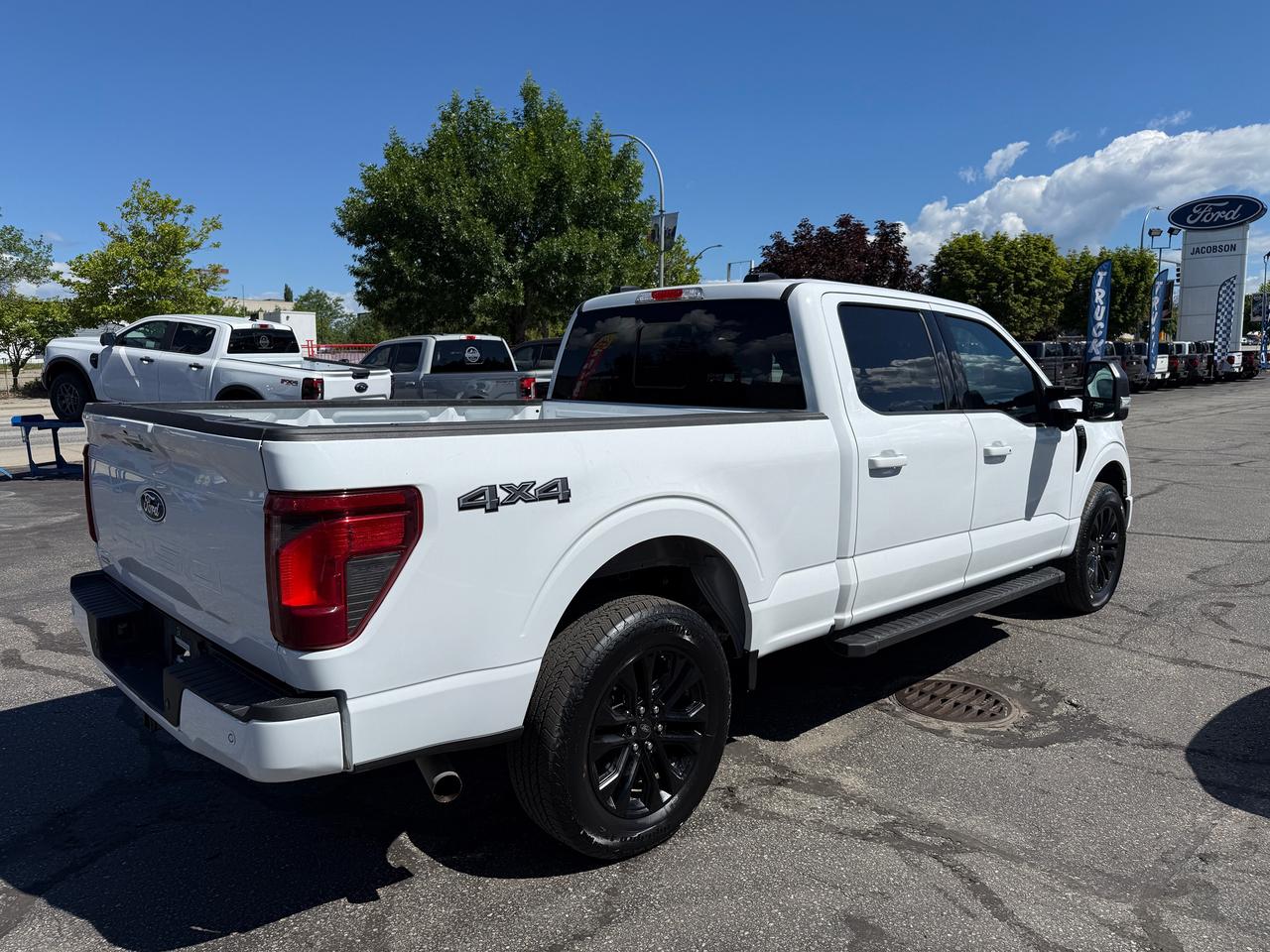 2024 Ford F-150 XLT Photo4