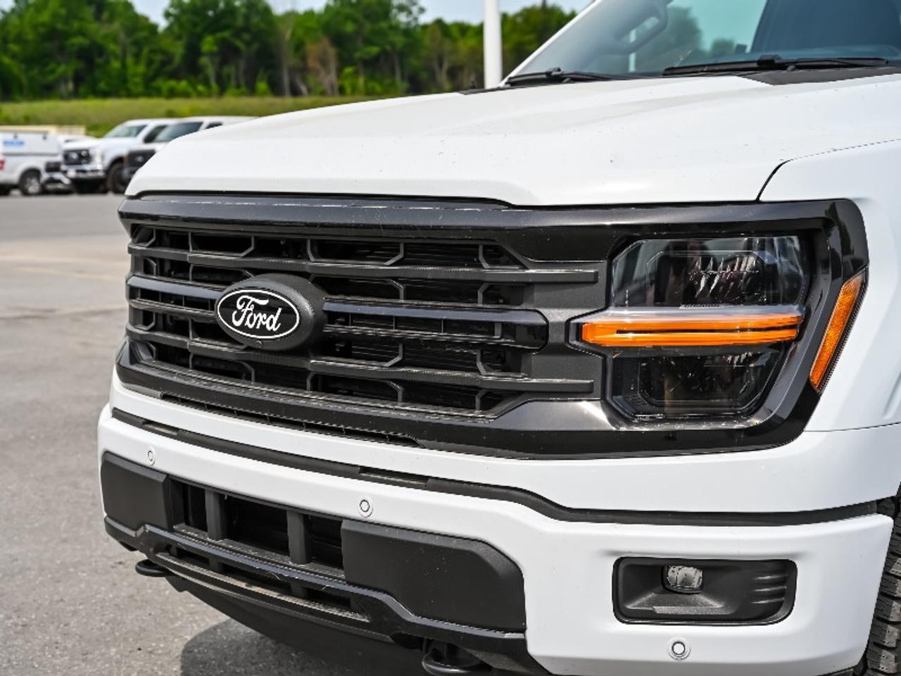 2026 Ford F-150 XLT Photo