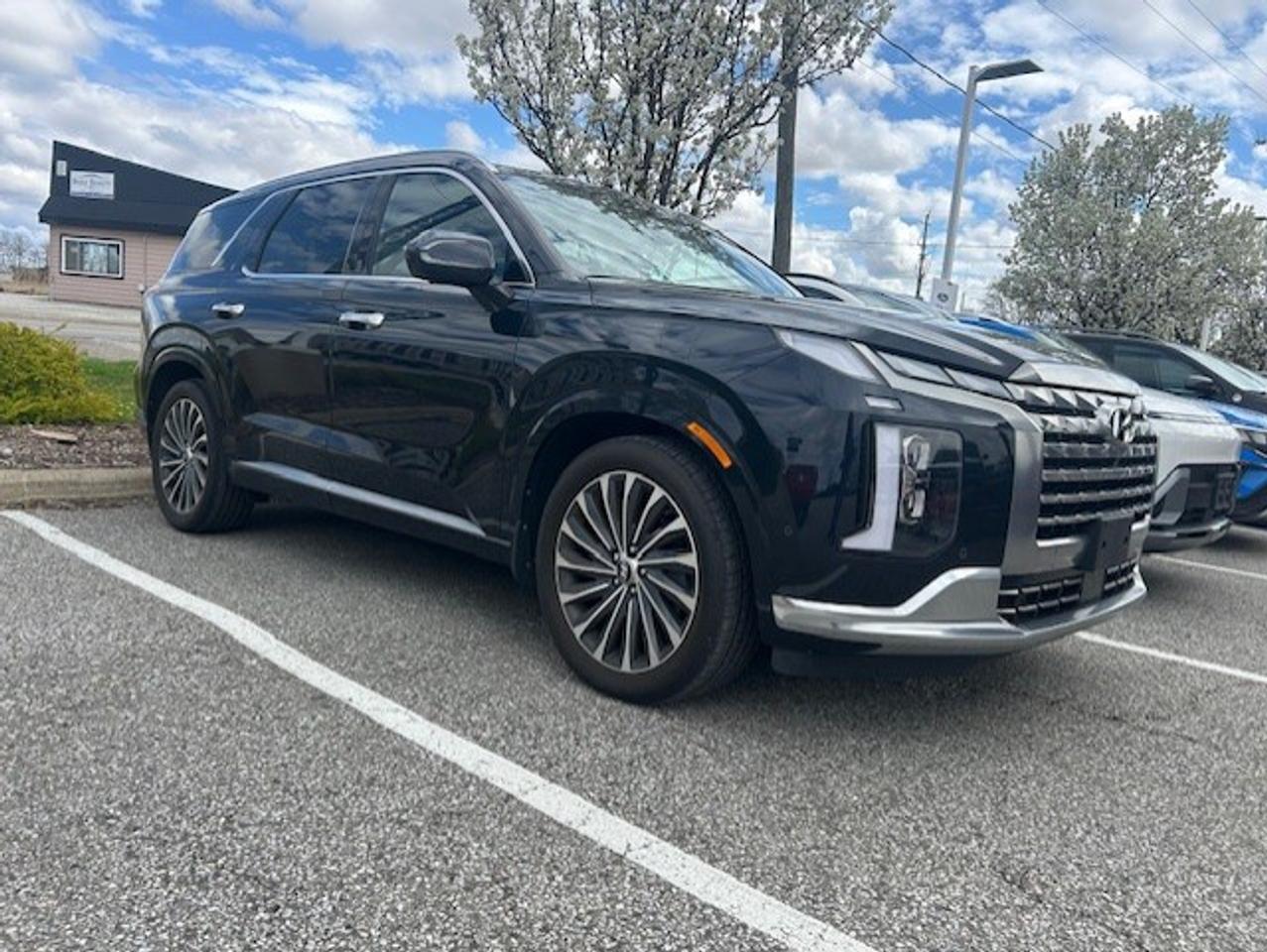 2023 Hyundai PALISADE Ultimate Calligraphy 7-Passenger AWD Photo0