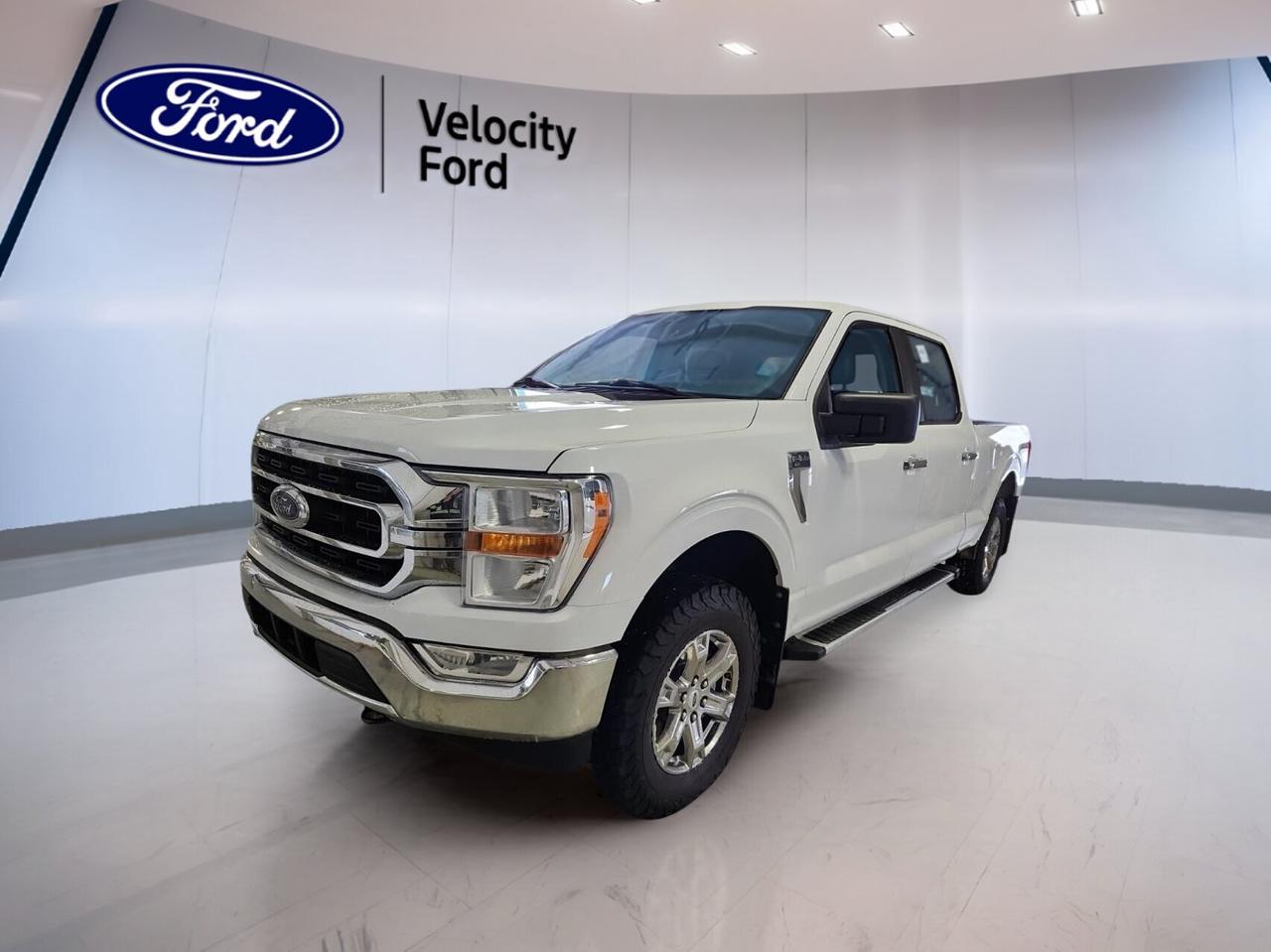 Built to work hard and drive with confidence, this 2022 Ford F-150 XLT 4WD SuperCrew 6.5 Box is a smart full-size truck for Moose Jaw roads and job sites alike. It pairs a capable 3.5-litre unleaded engine with automatic transmission and four-wheel drive for strong all-season performance.

Finished in White with a Black interior, this used 2022 Ford F-150 XLT 4WD SuperCrew 6.5 Box offers four full doors, a roomy cabin, and a practical long bed. With 70,182 km on the odometer, it delivers the versatility many truck buyers want for work, towing, and family use.

FEATURES OF THE F-150 XLT 4WD SuperCrew 6.5 Box COMING SOON
»» Four full doors for easy access
»» White exterior with Black interior finish
»» Automatic transmission for smooth daily driving
»» 3.5-litre engine with four-wheel drive

TRUCK FEATURES
»» Towing capacity rated at 4,671 kg
»» Rear tow hook adds useful utility
»» Off-road tires support extra traction
»» Six-point-five-foot box adds cargo flexibility

ADVANCED SAFETY FEATURES
»» Backup camera helps with reversing confidence
»» Blind spot monitor adds lane awareness
»» Lane departure warning supports safer travel
»» Stability control improves handling on roads

PERFORMANCE AND EFFICIENCY
»» 3.5-litre unleaded engine delivers strong power
»» Automatic transmission shifts smoothly under load
»» Four-wheel drive boosts all-weather traction
»» Cruise control supports relaxed highway driving

COMFORT AND CONVENIENCE
»» Front air conditioning keeps cabin comfortable
»» Power windows add everyday convenience
»» Heated mirrors help in cold weather
»» Driver lumbar support aids long trips

TECHNONOLGY AND CONNECTIVITY
»» Navigation system helps guide every trip
»» Bluetooth integration supports hands-free calling
»» WiFi hotspot keeps devices connected
»» Steering wheel audio controls add ease

CARGO SPACE
»» SuperCrew cabin offers practical interior room
»» Six-point-five-foot box carries larger loads
»» Rear trunk access improves cargo usability
»» Spare tire adds roadside peace

AWARDS & RECOGNITIONS
»» North American Truck of the Year, North American Car, Utility and Truck of the Year, 2021
»» Best Buy Award, The Car Guide, 2022

WHAT OTHER OWNERS LIKE
»» Strong towing and hauling capability
»» Spacious cabin for passengers and gear
»» User-friendly technology and clear controls
»» Confident ride with four-wheel drive

This F-150 is equipped with key features drivers value every day. Included equipment includes cruise control, power steering, Anti-Lock Braking System, tinted windows, satellite radio, fog lights, tire pressure monitoring, automatic headlights, child safety locks, driver and passenger airbags, side impact airbags, head side airbags, and passenger airbag sensor.

This truck also adds useful convenience with electric mirrors, heated mirrors, automatic door locks, rear window defroster, illuminated driver and passenger vanity mirrors, an adjustable steering wheel, and dual shift mode transmission. The result is a pickup that feels ready for commuting, hauling, and weekend tasks without unnecessary complication.

At Velocity Ford in Moose Jaw, this 2022 Ford F-150 XLT 4WD SuperCrew 6.5 Box stands out as a practical and capable used truck. Its proven design, strong towing rating, useful safety technology, and spacious layout make it a solid choice for drivers who need real pickup capability every day.

This 2022 Ford F-150 XLT 4WD SuperCrew 6.5 Box COMING SOONs VIN is: 1FTFW1E85NFA74354.