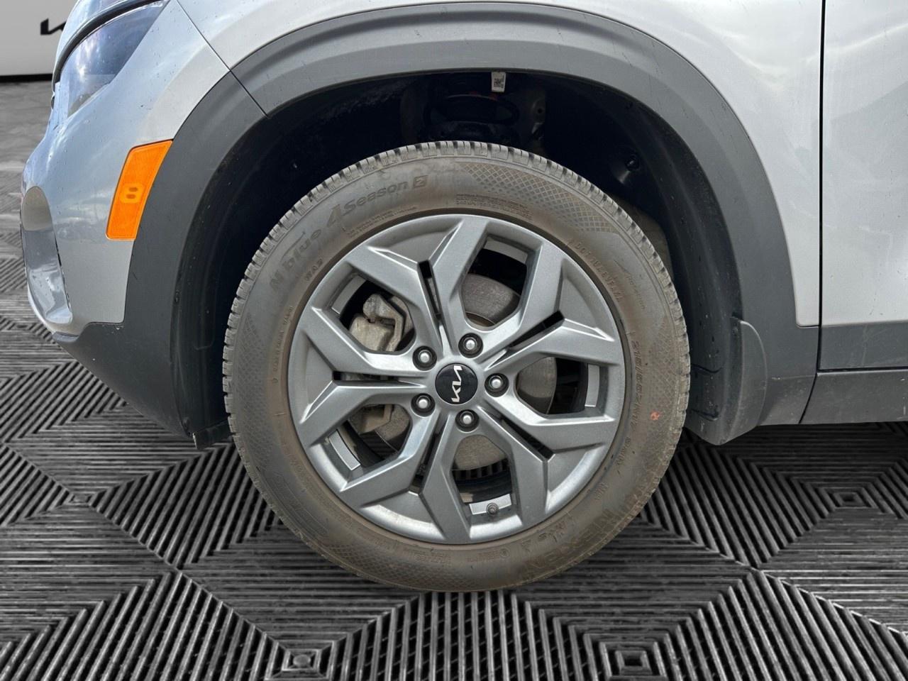 2025 Kia Seltos EX AWD Photo