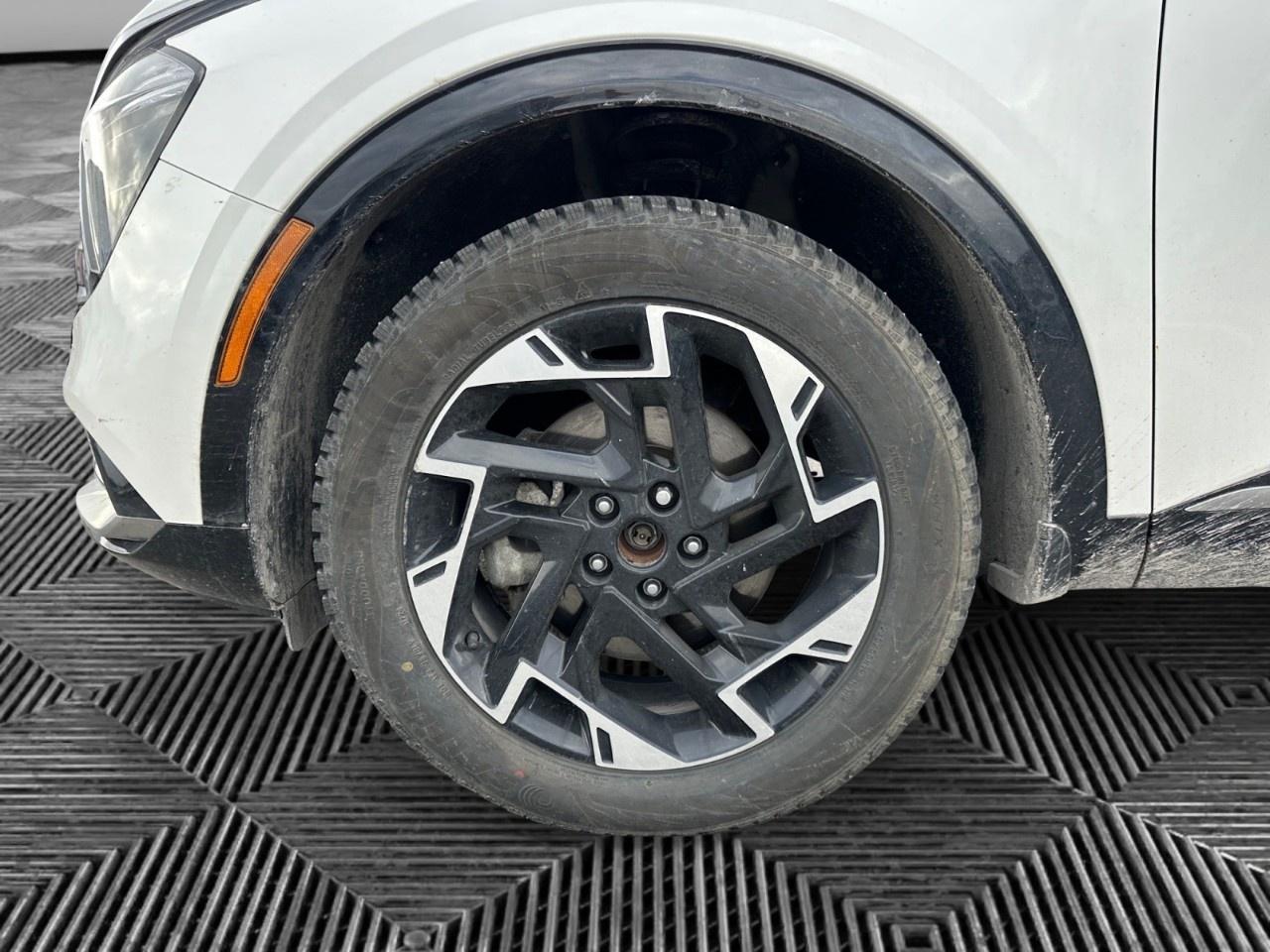 2025 Kia Sportage EX Premium AWD w/Red Interior Photo