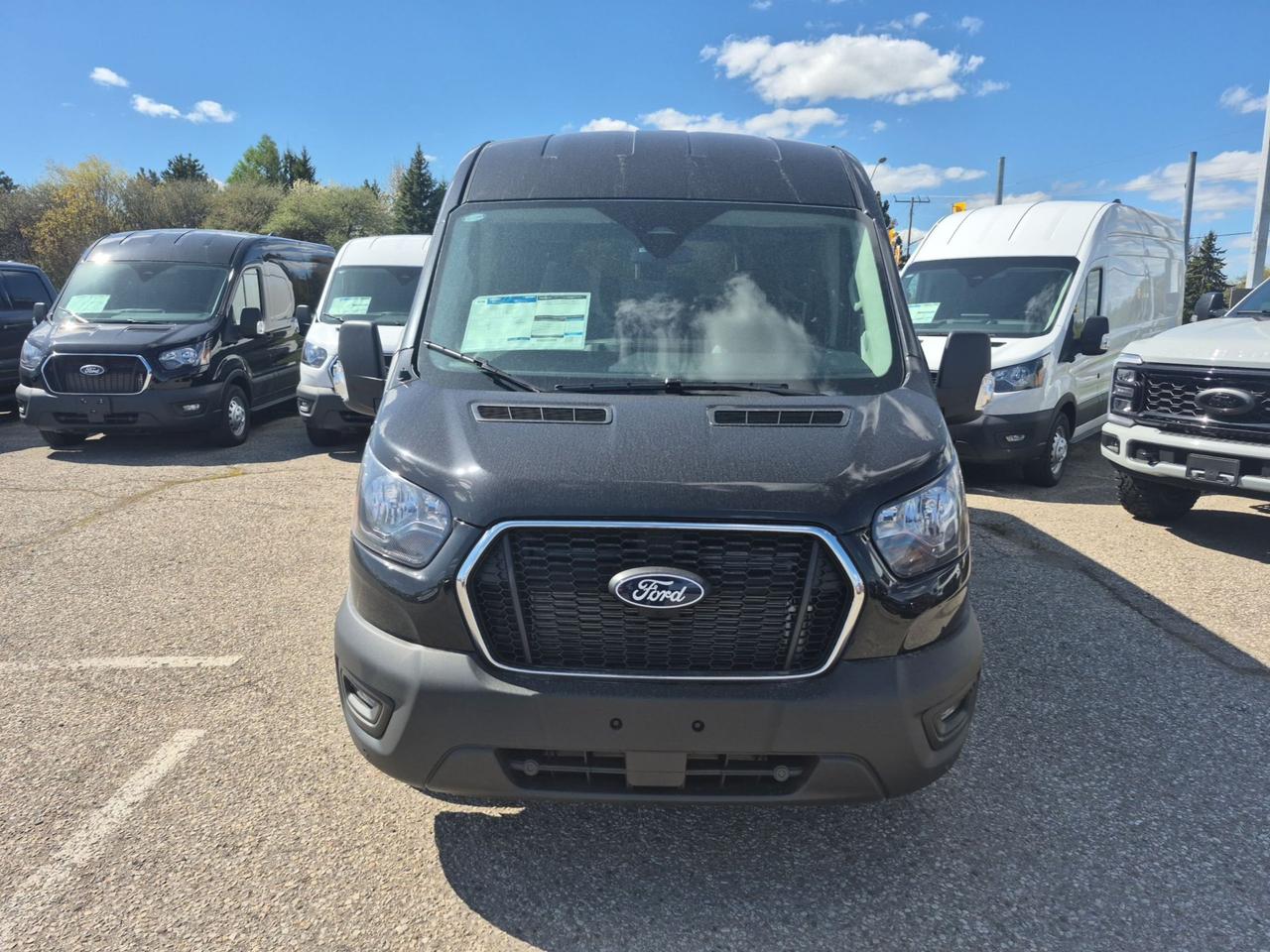 2026 Ford Transit XL, 12 PASS SEATING, NAVIGATION, ADAPTIVE CRUISE Photo