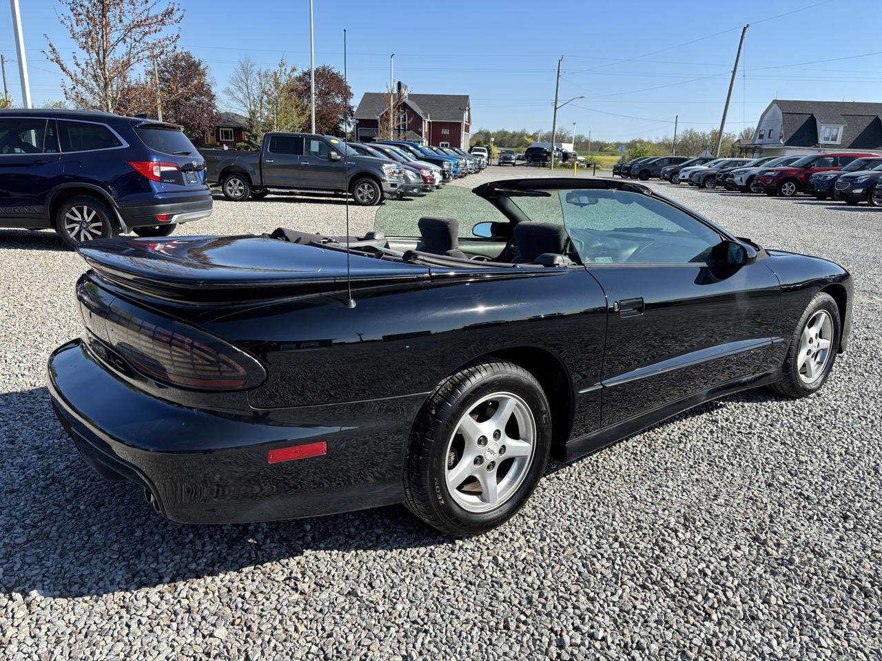 1997 Pontiac Firebird Trans Am ~5.7 LT1 V-8~Covertible~NO ACCIDENTS~ Photo4