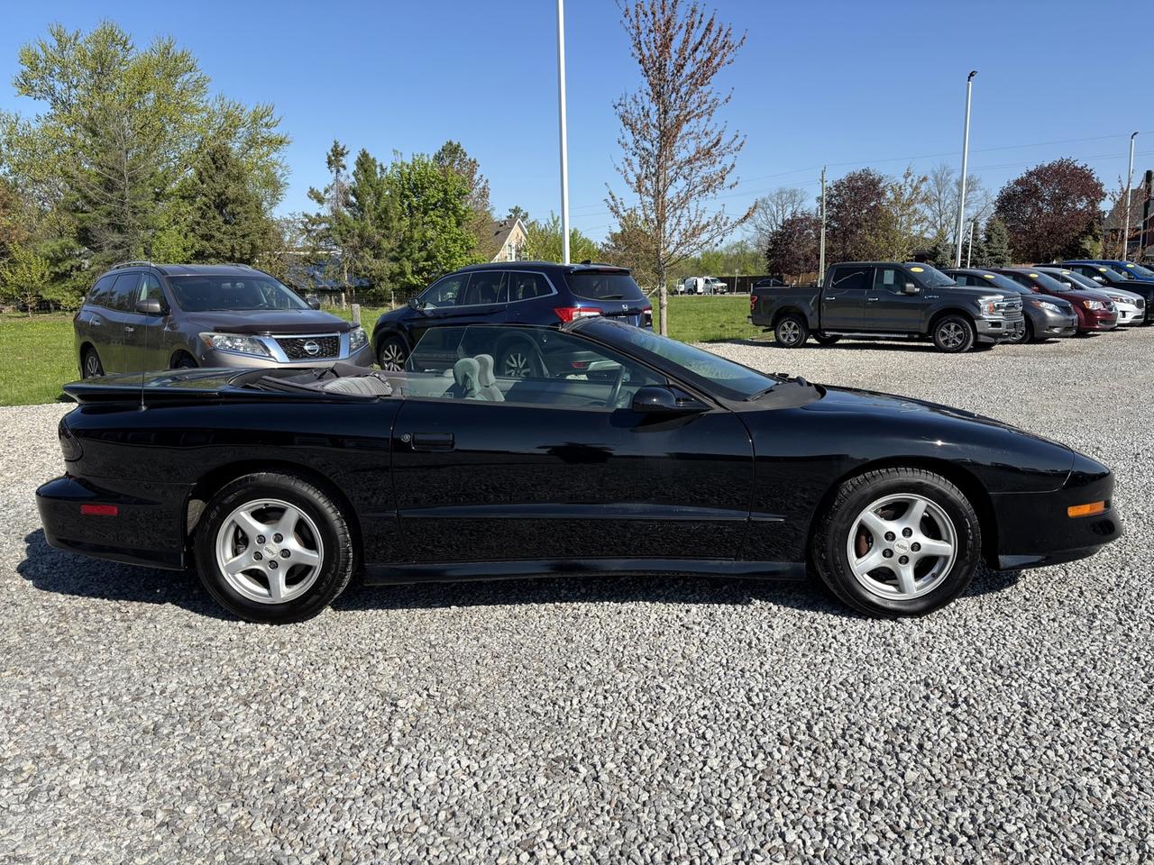 1997 Pontiac Firebird Trans Am ~5.7 LT1 V-8~Covertible~NO ACCIDENTS~ Photo