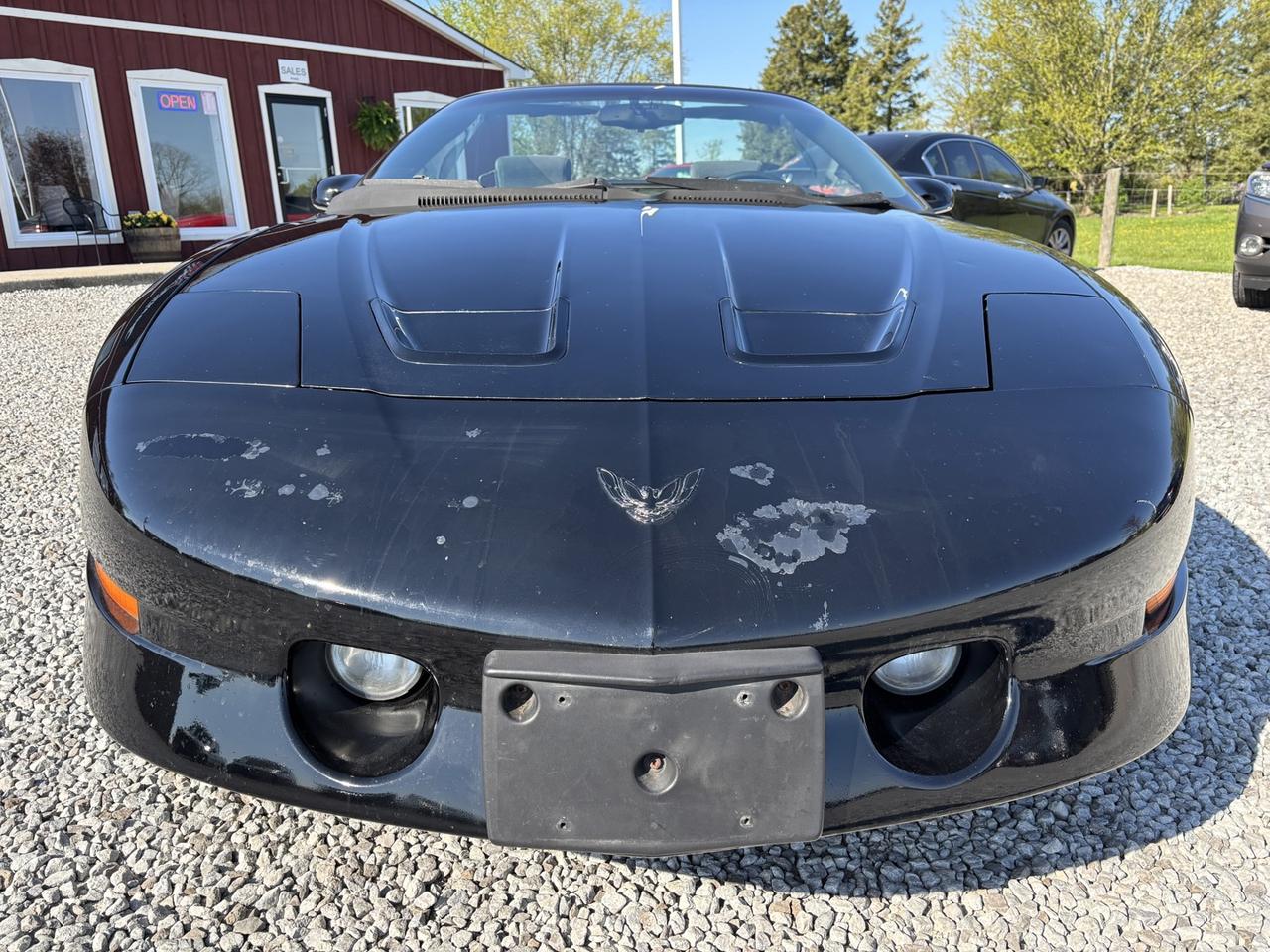 1997 Pontiac Firebird Trans Am ~5.7 LT1 V-8~Covertible~NO ACCIDENTS~ Photo
