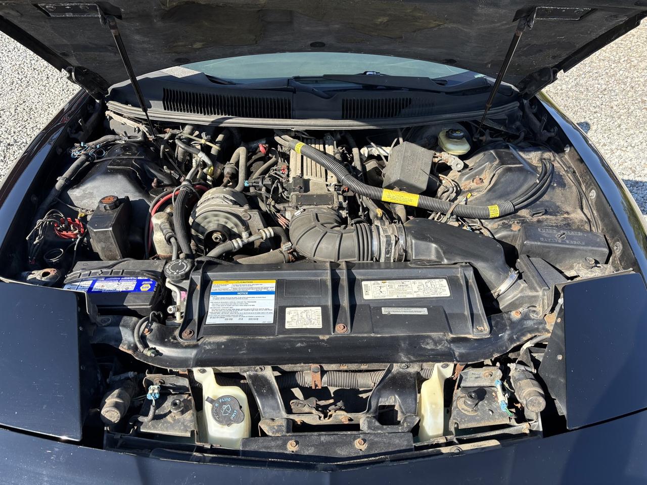 1997 Pontiac Firebird Trans Am ~5.7 LT1 V-8~Covertible~NO ACCIDENTS~ Photo