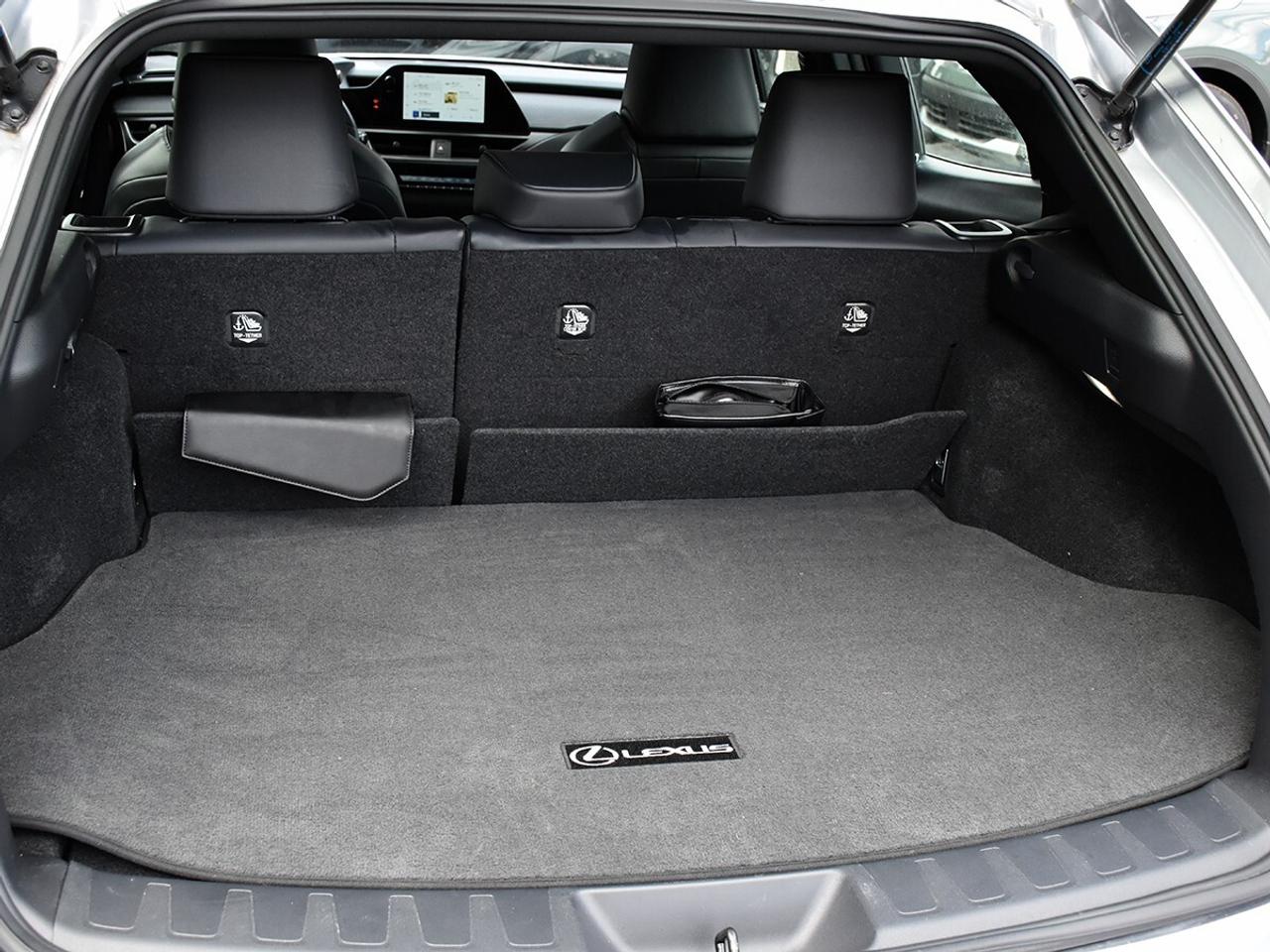2024 Lexus UX UX 250H Photo