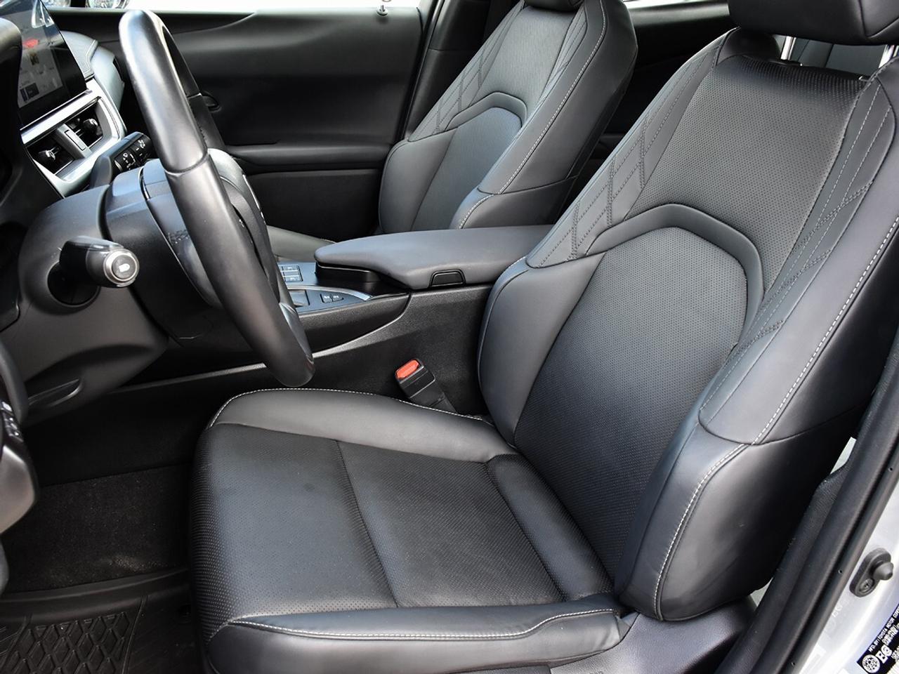 2024 Lexus UX UX 250H Photo