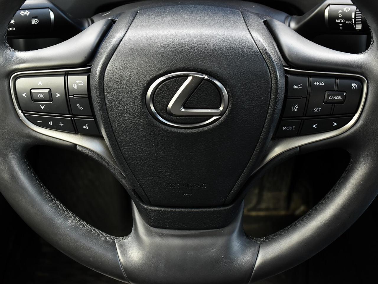 2024 Lexus UX UX 250H Photo