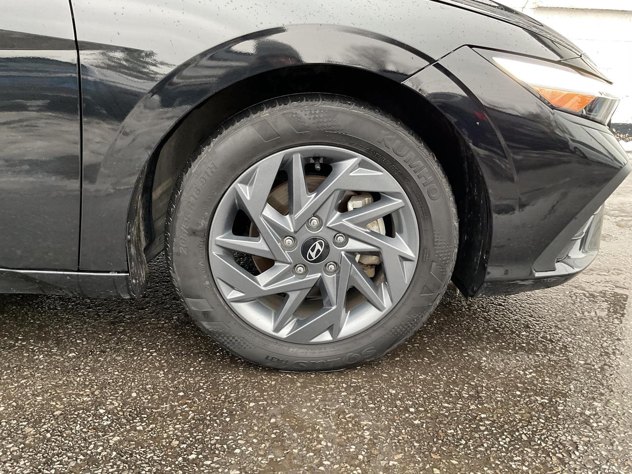 2024 Hyundai Elantra  Photo