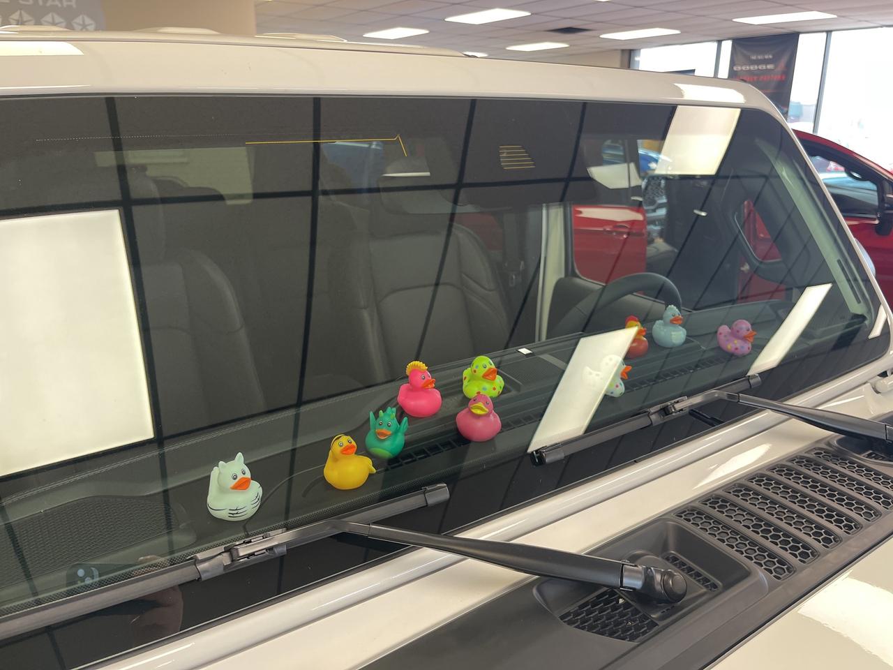 2025 Jeep Wrangler Sahara V6 *LEATHER *NAVI *SAFETY GROUP *DEMO Photo