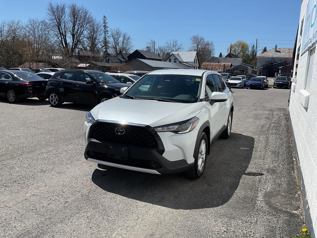 2023 Toyota Corolla Cross LE 4dr All-Wheel Drive Photo