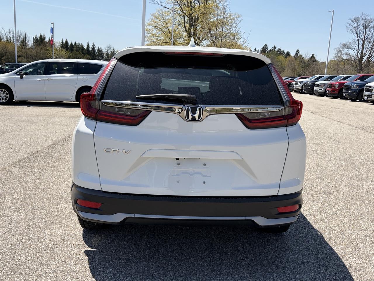2022 Honda CR-V LX FWD   Heated Seats   CarPlay   Android Auto Photo4