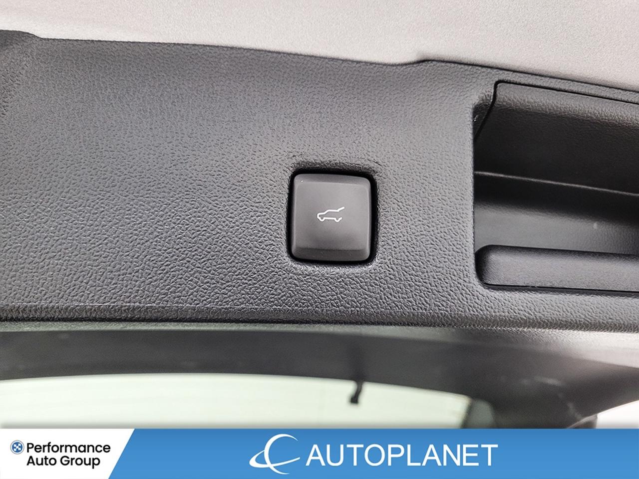 2024 Ford Escape ST-Line AWD - FINANCE @$83/WK OR LEASE @$120/WK Photo