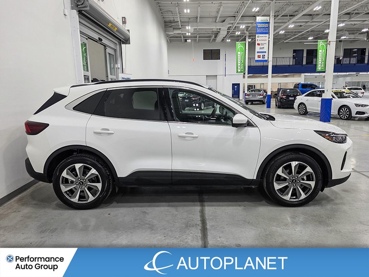 2024 Ford Escape Platinum AWD - FINANCE @$85/WK OR LEASE @$95/WK Photo3