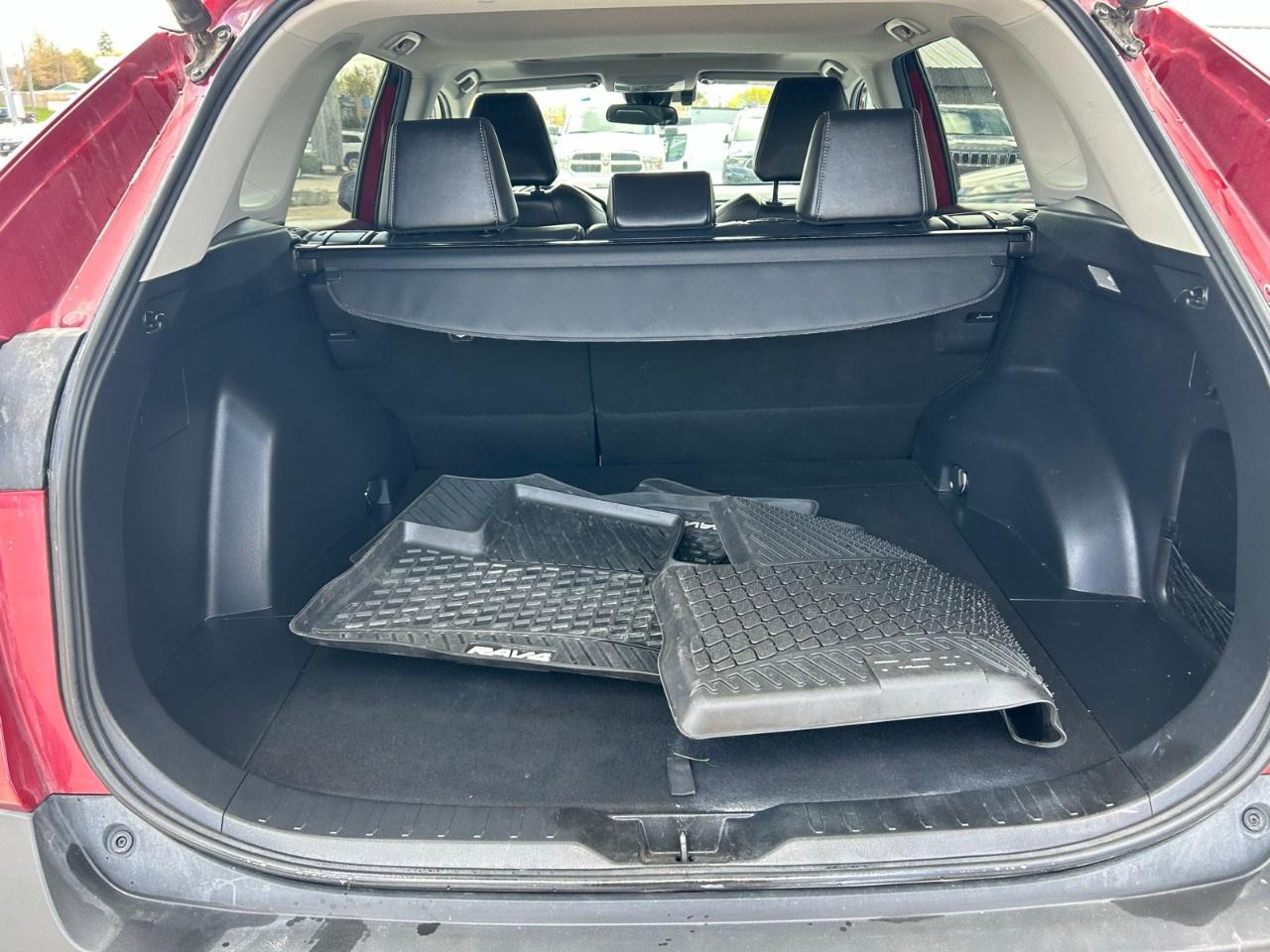 2020 Toyota RAV4 XLE AWD Photo