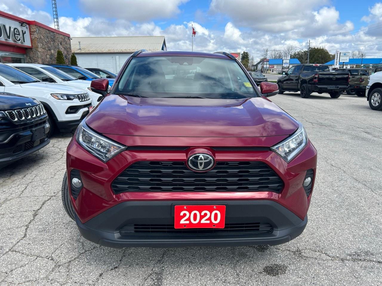 2020 Toyota RAV4 XLE AWD Photo