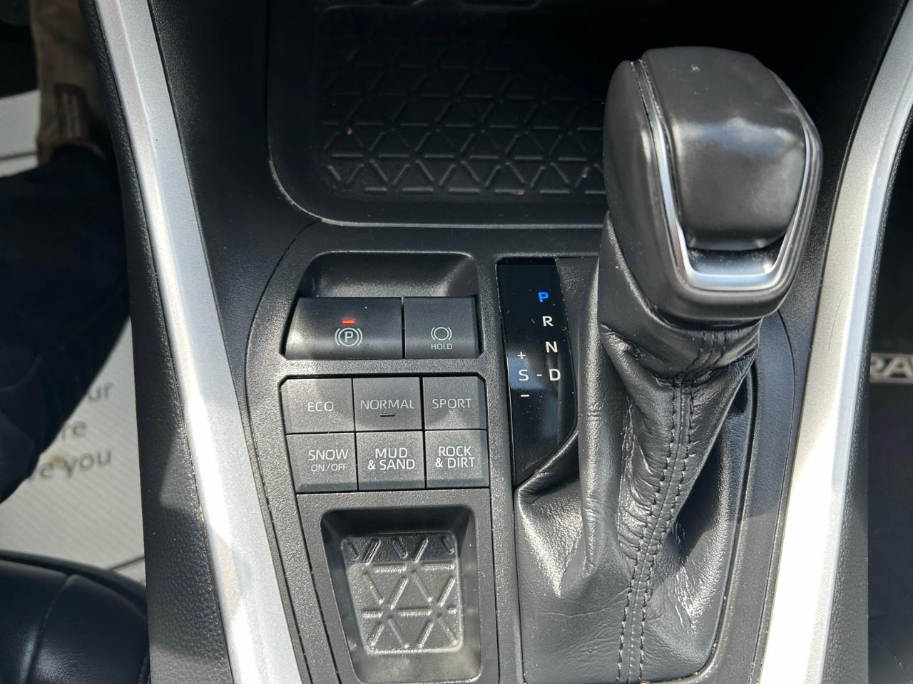 2020 Toyota RAV4 XLE AWD Photo