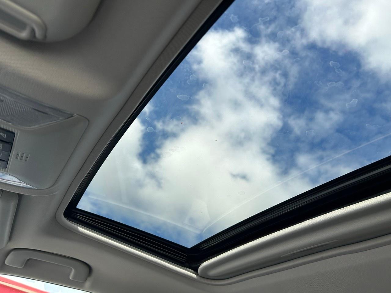 2020 Toyota RAV4 XLE AWD Photo