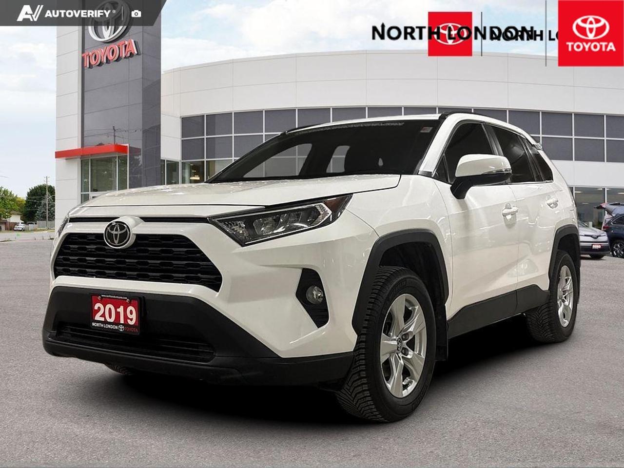 2019 Toyota RAV4 XLE 4dr Front-wheel Drive Photo
