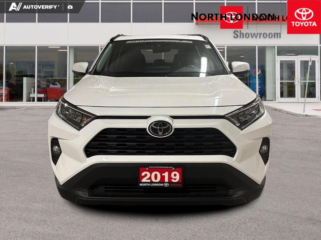 2019 Toyota RAV4 XLE 4dr Front-wheel Drive Photo
